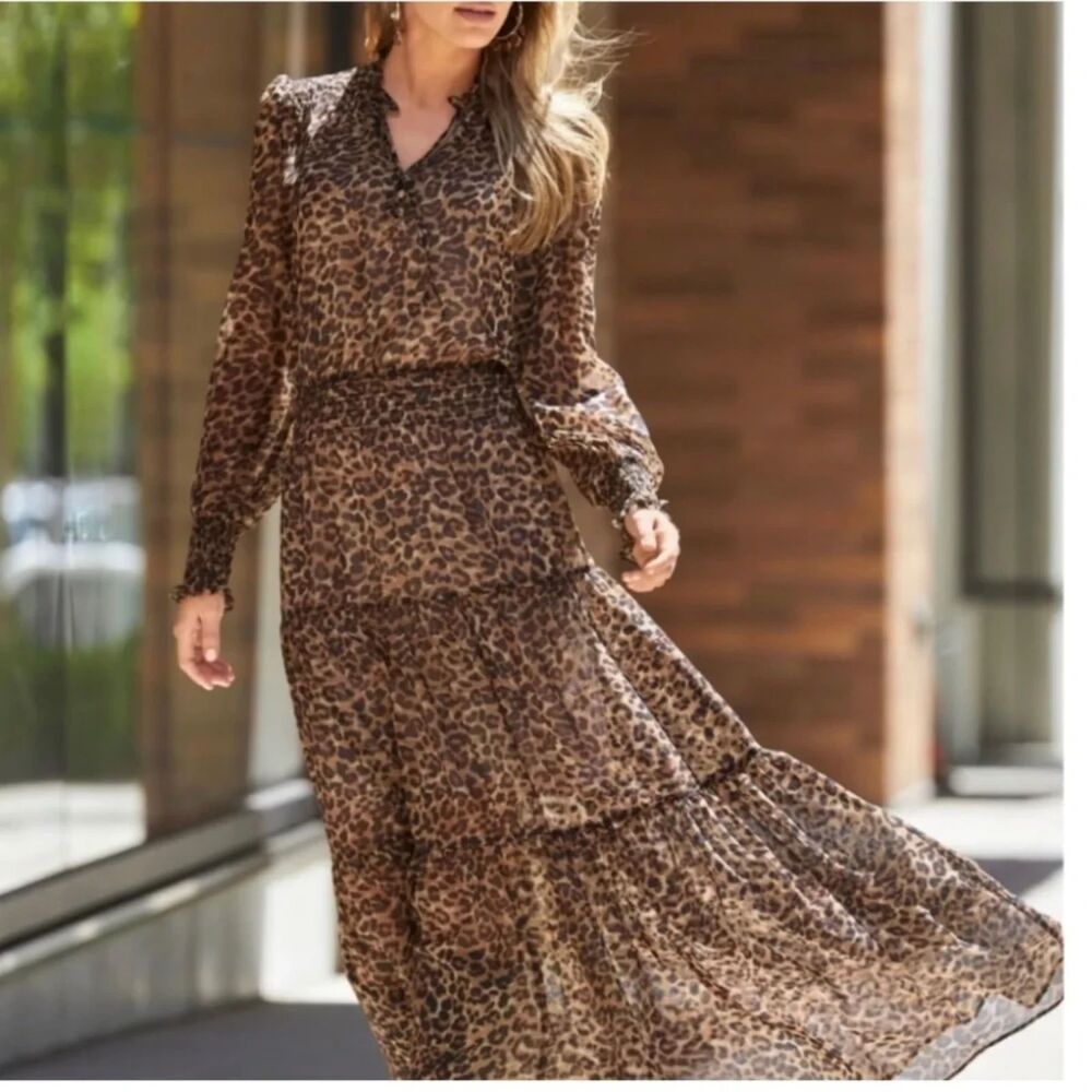 Boston Proper Small dress maxi animal print long sleeve sheer ruffle leopard